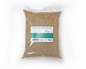 500g Grass Seed